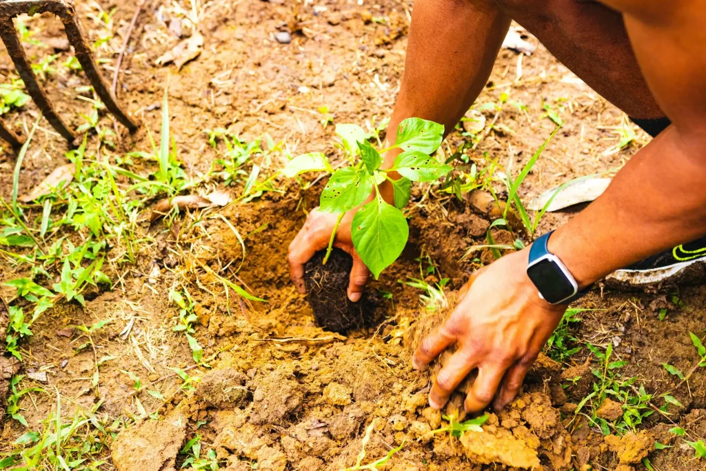 dokumentasi kegiatan yayasan