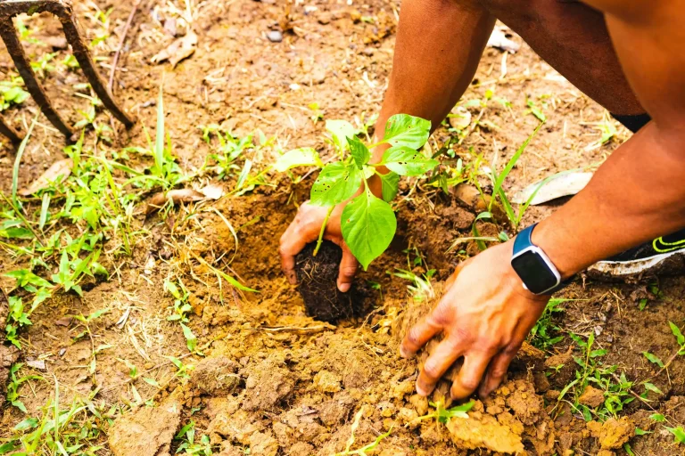 dokumentasi kegiatan yayasan